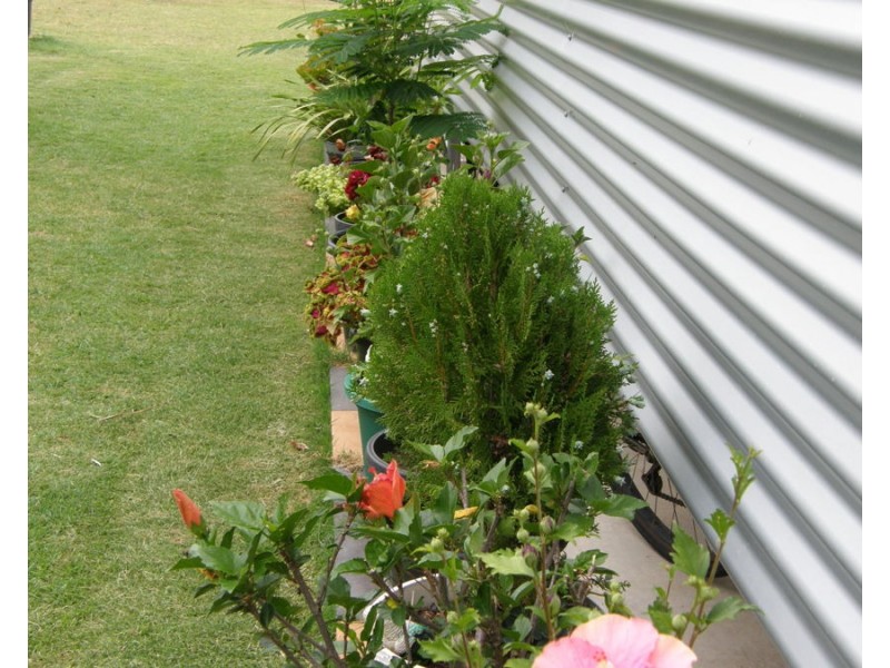 59 Scott Street, Wondai QLD 4606