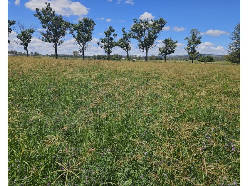 347 Wheatlands Loop Road, Wheatlands QLD 4606