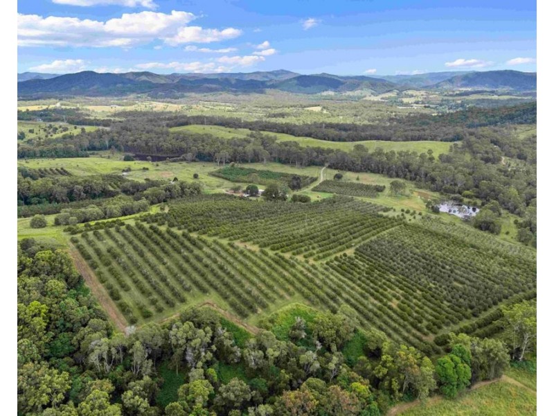 235 Kandanga Imbil Rd, Kandanga QLD 4570