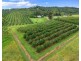 235 Kandanga Imbil Rd, Kandanga QLD 4570