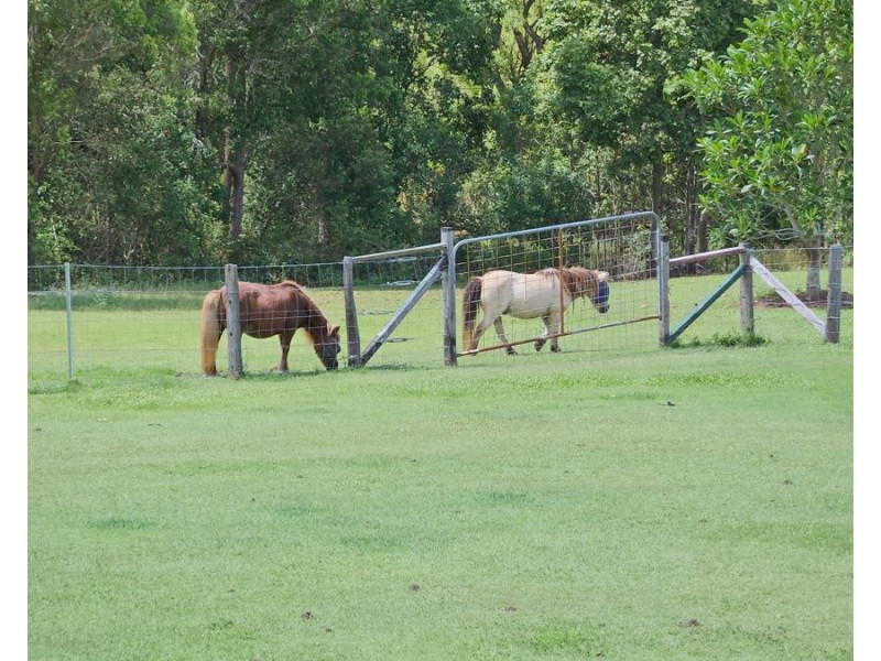 61 Bolcaro Road, East Deep Creek QLD 4570