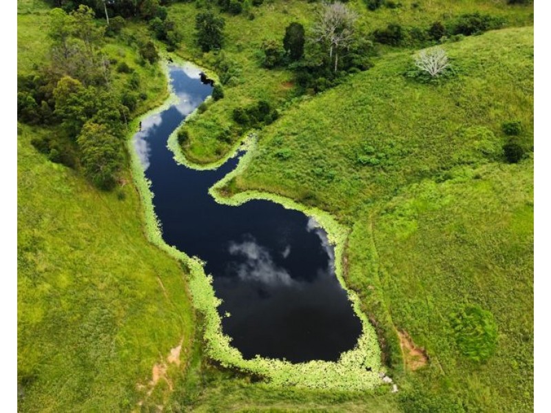 113 Antimony Road, Neerdie QLD 4570