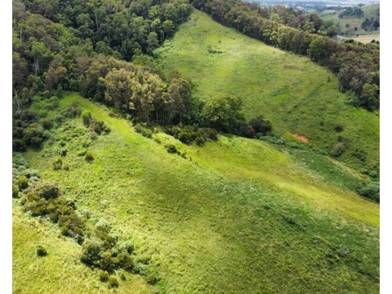 113 Antimony Road, Neerdie QLD 4570