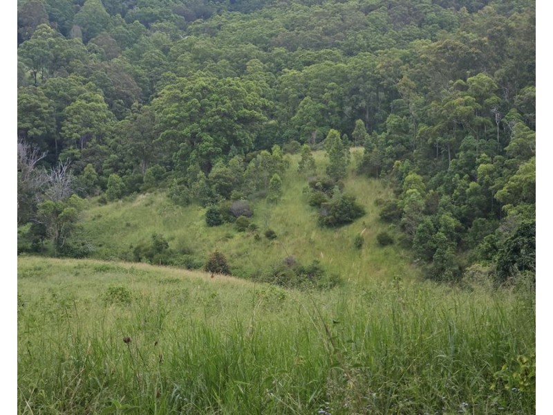 113 Antimony Road, Neerdie QLD 4570