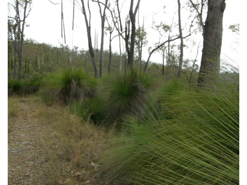 0 Jimmy Scrub Road, Manumbar QLD 4601
