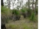 0 Jimmy Scrub Road, Manumbar QLD 4601