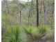 0 Jimmy Scrub Road, Manumbar QLD 4601