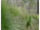 0 Jimmy Scrub Road, Manumbar QLD 4601