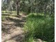 LOT 309 Spiegel Road, Glenwood QLD 4570
