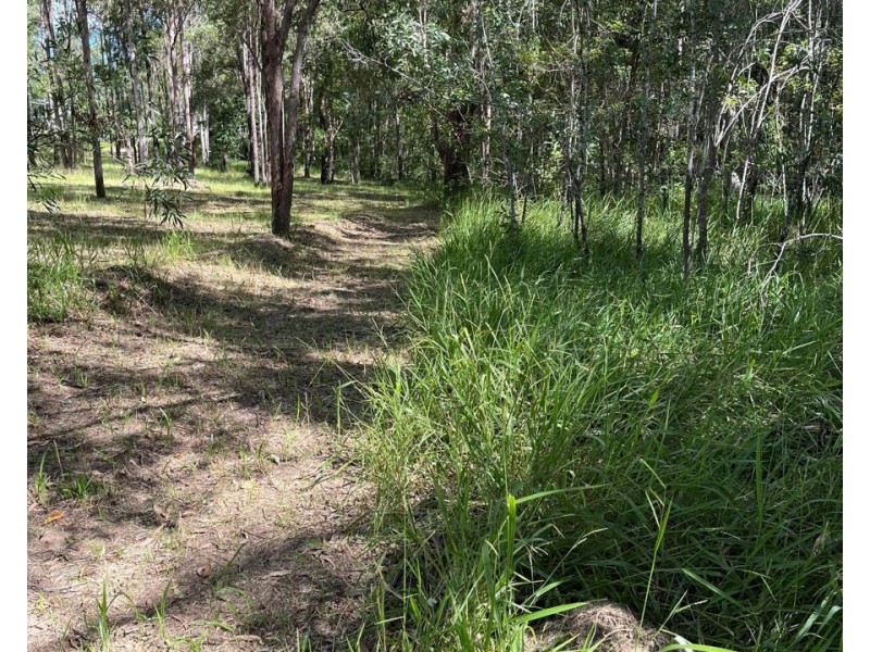 LOT 309 Spiegel Road, Glenwood QLD 4570
