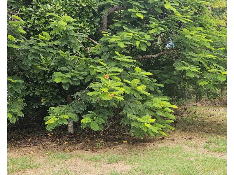 5 Bligh Street, Kilkivan QLD 4600