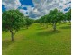 68 Tipping Road, Chatsworth QLD 4570