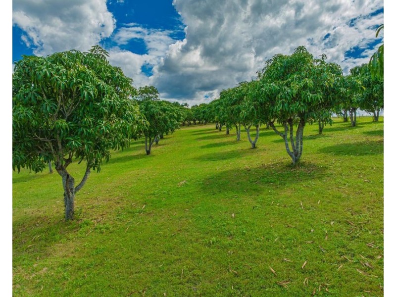 68 Tipping Road, Chatsworth QLD 4570