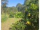 3 Muster Court, Amamoor QLD 4570