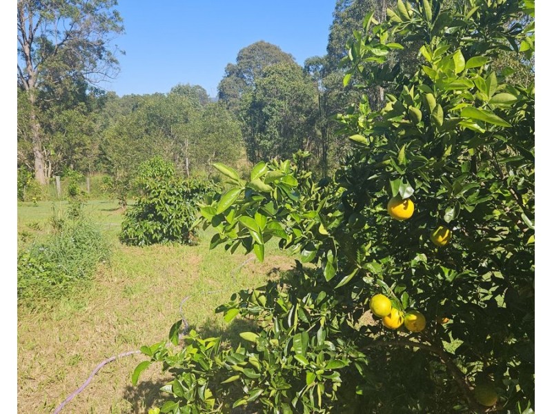 3 Muster Court, Amamoor QLD 4570