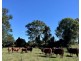 479 Bular Road, Kilkivan QLD 4600