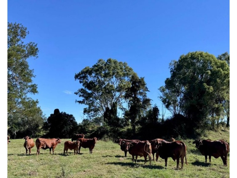 479 Bular Road, Kilkivan QLD 4600