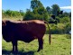 479 Bular Road, Kilkivan QLD 4600