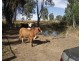 189 Hayes Road, Lower Wonga QLD 4570