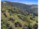44 Repeater Station Road, Kanigan QLD 4570