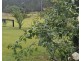 127 Cliff Jones Road, Curra QLD 4570