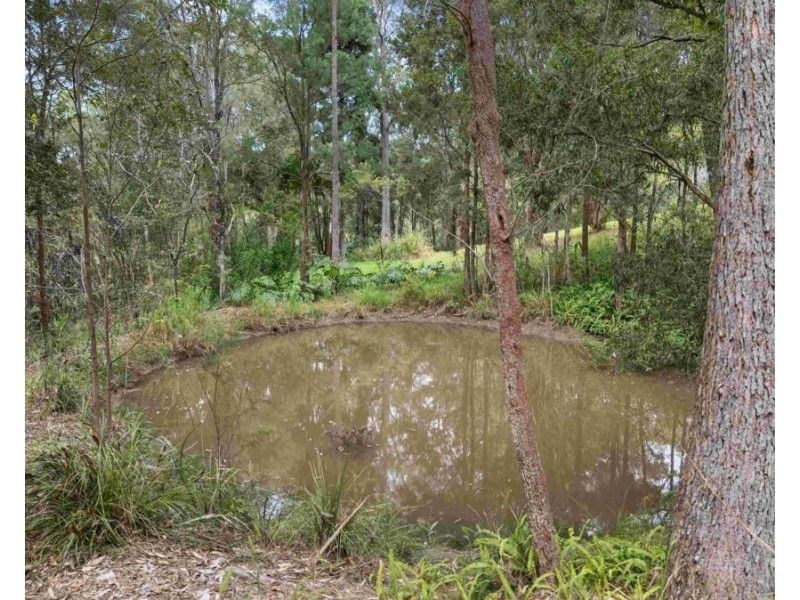293 Stewart Road, Coondoo QLD 4570