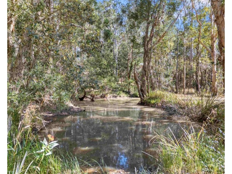 38 Trotter Road, Glenwood QLD 4570