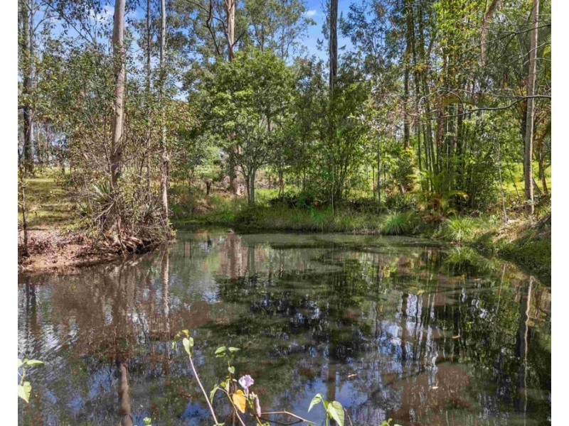 66 Arbortwentynine Road, Glenwood QLD 4570