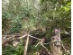 Lot 674 Arbor twenty-seven, Glenwood QLD 4570