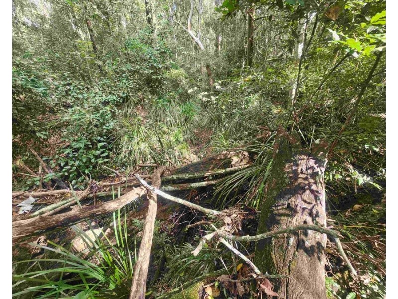 Lot 674 Arbor twenty-seven, Glenwood QLD 4570