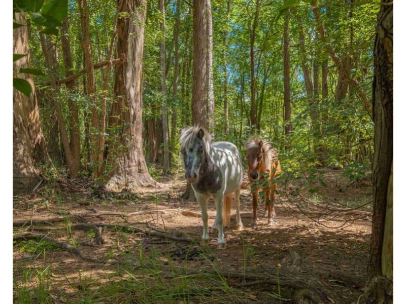 124-136 Eel Creek Road, Southside QLD 4570