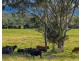 294 Glastonbury Creek Road, Glastonbury QLD 4570