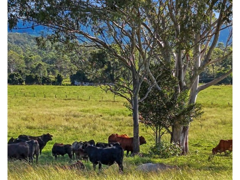 294 Glastonbury Creek Road, Glastonbury QLD 4570