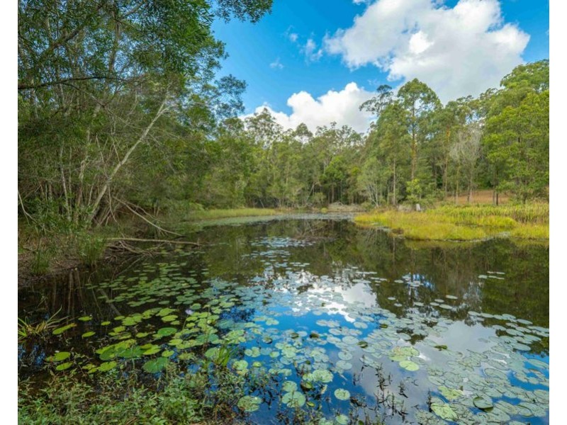 579 Woondum Road, Mothar Mountain QLD 4570