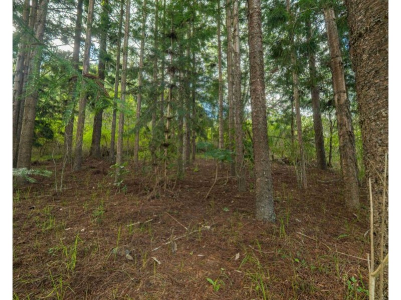 579 Woondum Road, Mothar Mountain QLD 4570