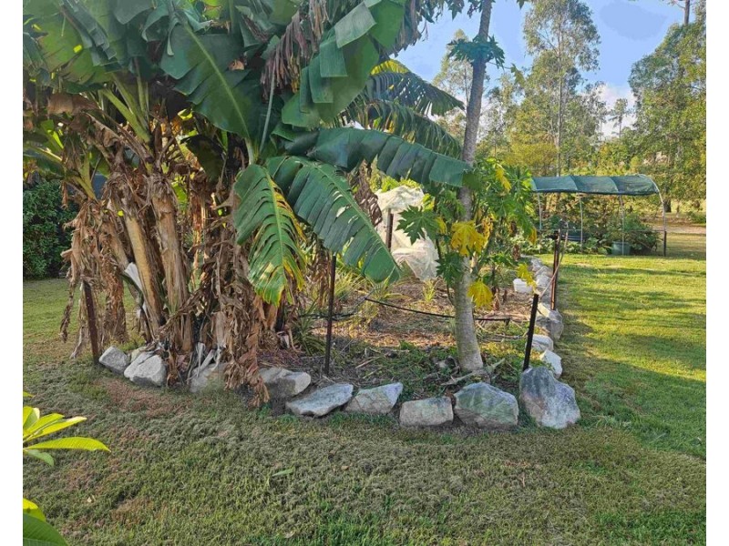 199 Arborthree Road, Glenwood QLD 4570
