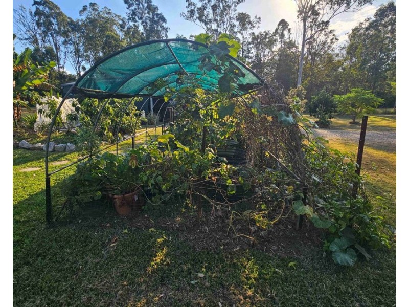 199 Arborthree Road, Glenwood QLD 4570