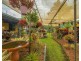 54 Sutton Road, Coolabine QLD 4574