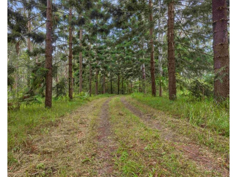 1419 Kin Kin Road, Wolvi QLD 4570