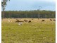 343 Suthers Road, Dunmora QLD 4650