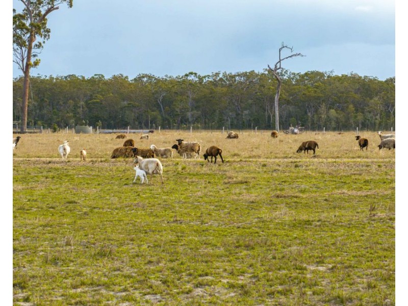 343 Suthers Road, Dunmora QLD 4650