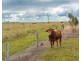 343 Suthers Road, Dunmora QLD 4650