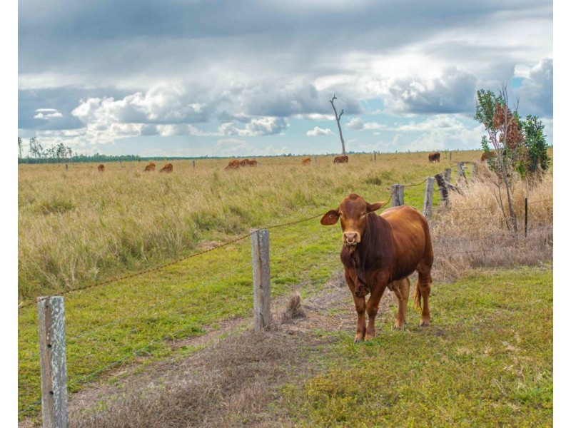 343 Suthers Road, Dunmora QLD 4650