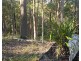 79 Counter Road, Wolvi QLD 4570