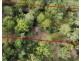 Lot 30 Abbott Road, Glenwood QLD 4570