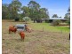 795 Mungar Road, Grahams Creek QLD 4650