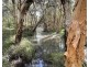 Lot 2 Golden Gate Road, Tuan Forest QLD 4650