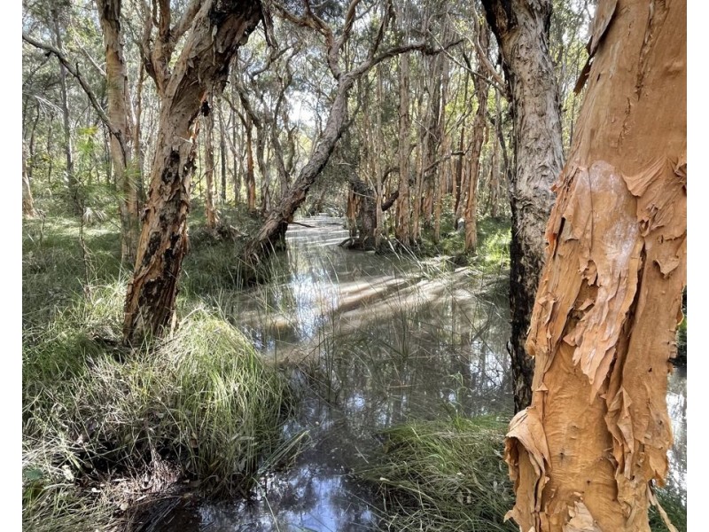 Lot 2 Golden Gate Road, Tuan Forest QLD 4650