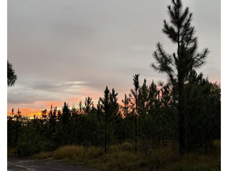 Lot 2 Golden Gate Road, Tuan Forest QLD 4650