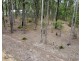 Lot 188 Arborthree Road, Glenwood QLD 4570
